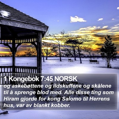 1 Kongebok 7:45 NORSK Bible Verse Image
