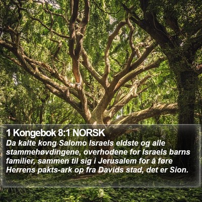 1 Kongebok 8:1 NORSK Bible Verse Image