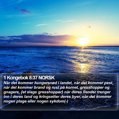 1 Kongebok 8:37 NORSK Bible Verse Image