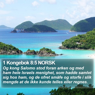1 Kongebok 8:5 NORSK Bible Verse Image