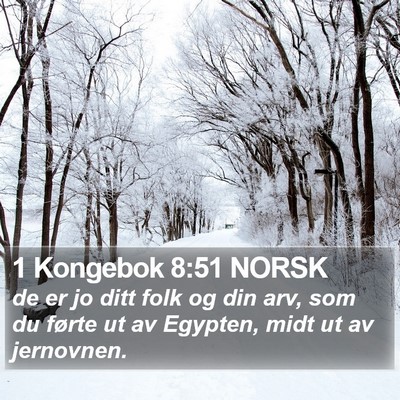 1 Kongebok 8:51 NORSK Bible Verse Image