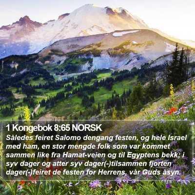 1 Kongebok 8:65 NORSK Bible Verse Image