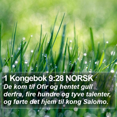 1 Kongebok 9:28 NORSK Bible Verse Image