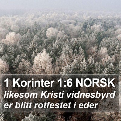 1 Korinter 1:6 NORSK Bible Verse Image
