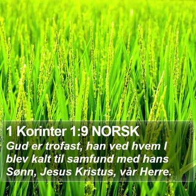 1 Korinter 1:9 NORSK Bible Verse Image