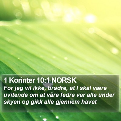 1 Korinter 10:1 NORSK Bible Verse Image