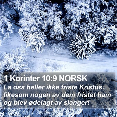 1 Korinter 10:9 NORSK Bible Verse Image