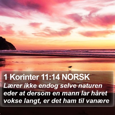 1 Korinter 11:14 NORSK Bible Verse Image