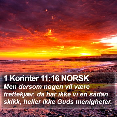 1 Korinter 11:16 NORSK Bible Verse Image