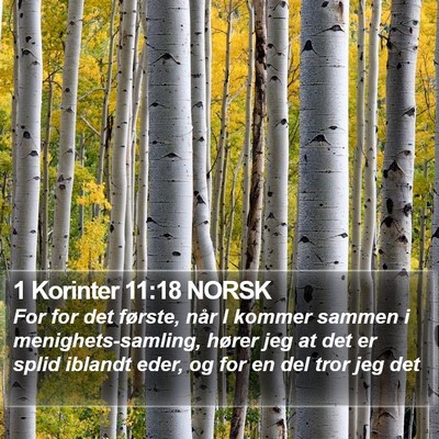 1 Korinter 11:18 NORSK Bible Verse Image
