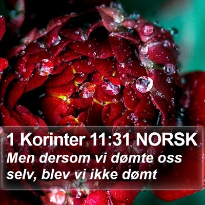1 Korinter 11:31 NORSK Bible Verse Image