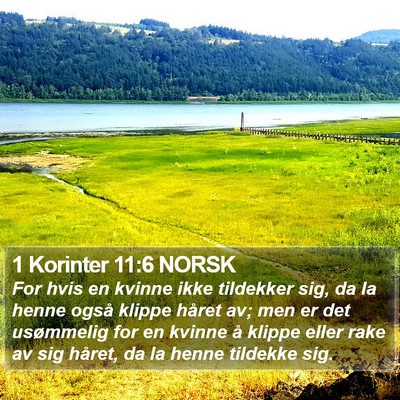 1 Korinter 11:6 NORSK Bible Verse Image