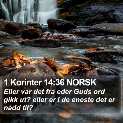 1 Korinter 14:36 NORSK Bible Verse Image