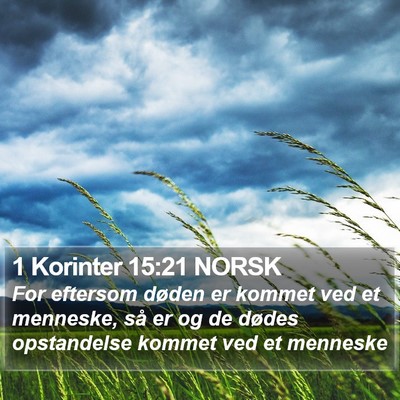 1 Korinter 15:21 NORSK Bible Verse Image