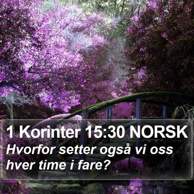 1 Korinter 15:30 NORSK Bible Verse Image