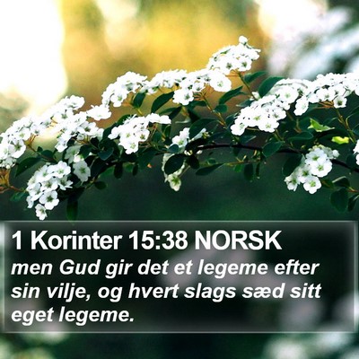 1 Korinter 15:38 NORSK Bible Verse Image