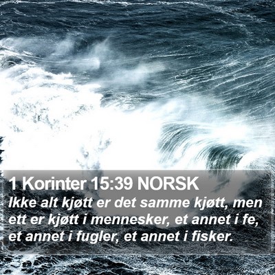 1 Korinter 15:39 NORSK Bible Verse Image