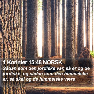 1 Korinter 15:48 NORSK Bible Verse Image