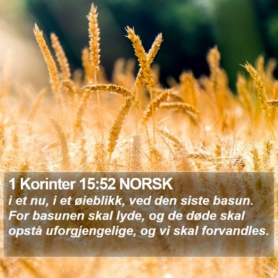 1 Korinter 15:52 NORSK Bible Verse Image