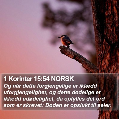 1 Korinter 15:54 NORSK Bible Verse Image