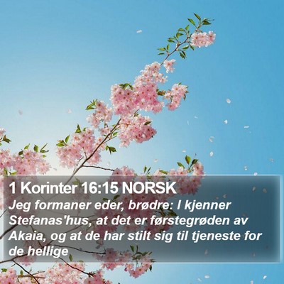 1 Korinter 16:15 NORSK Bible Verse Image