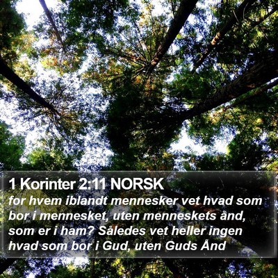 1 Korinter 2:11 NORSK Bible Verse Image