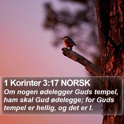 1 Korinter 3:17 NORSK Bible Verse Image