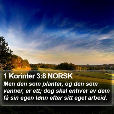 1 Korinter 3:8 NORSK Bible Verse Image