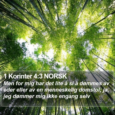 1 Korinter 4:3 NORSK Bible Verse Image