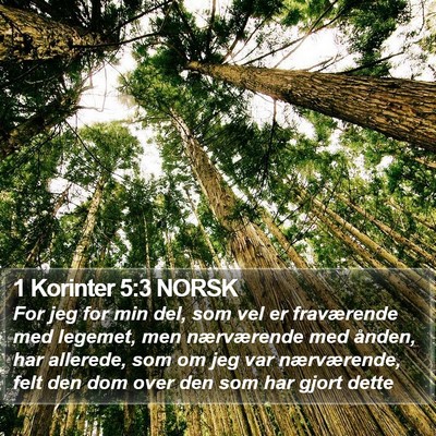 1 Korinter 5:3 NORSK Bible Verse Image