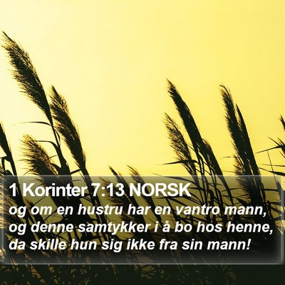 1 Korinter 7:13 NORSK Bible Verse Image