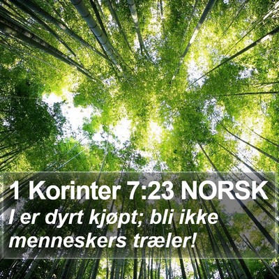 1 Korinter 7:23 NORSK Bible Verse Image