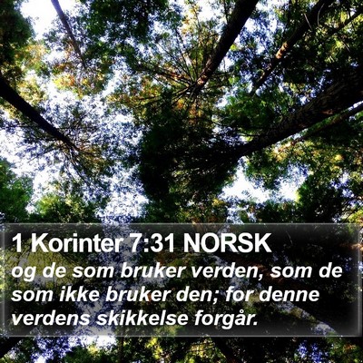 1 Korinter 7:31 NORSK Bible Verse Image