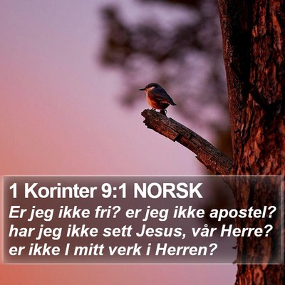 1 Korinter 9:1 NORSK Bible Verse Image