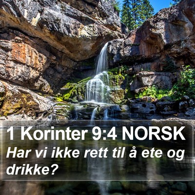 1 Korinter 9:4 NORSK Bible Verse Image
