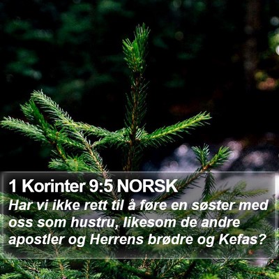 1 Korinter 9:5 NORSK Bible Verse Image