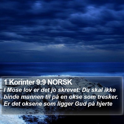 1 Korinter 9:9 NORSK Bible Verse Image