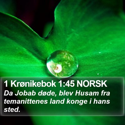 1 Krønikebok 1:45 NORSK Bible Verse Image