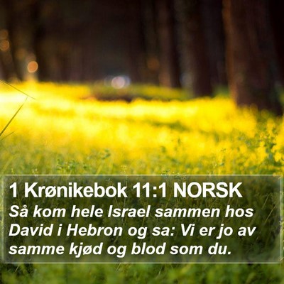 1 Krønikebok 11:1 NORSK Bible Verse Image