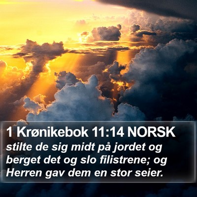 1 Krønikebok 11:14 NORSK Bible Verse Image