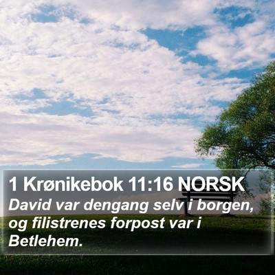 1 Krønikebok 11:16 NORSK Bible Verse Image