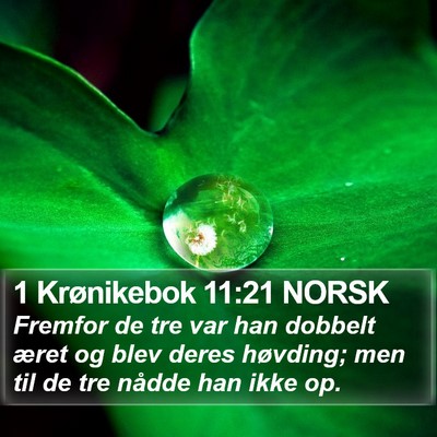 1 Krønikebok 11:21 NORSK Bible Verse Image