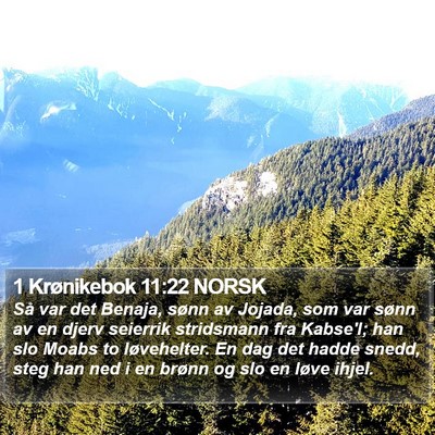 1 Krønikebok 11:22 NORSK Bible Verse Image