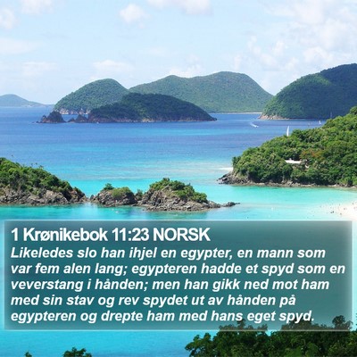 1 Krønikebok 11:23 NORSK Bible Verse Image