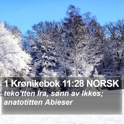 1 Krønikebok 11:28 NORSK Bible Verse Image