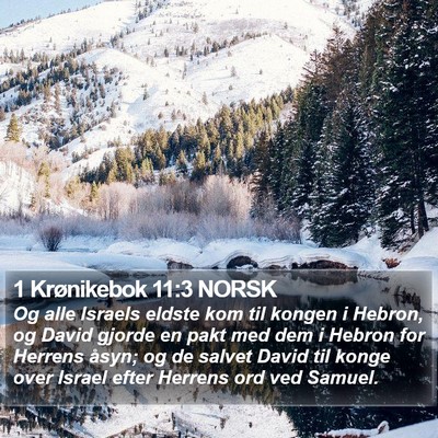 1 Krønikebok 11:3 NORSK Bible Verse Image