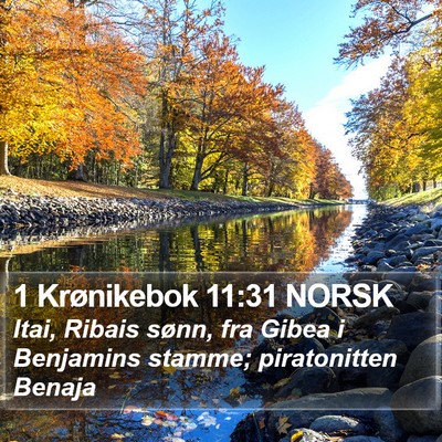 1 Krønikebok 11:31 NORSK Bible Verse Image