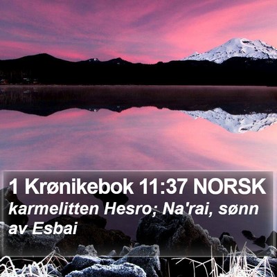 1 Krønikebok 11:37 NORSK Bible Verse Image