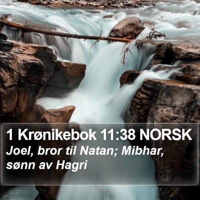 1 Krønikebok 11:38 NORSK Bible Verse Image