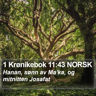 1 Krønikebok 11:43 NORSK Bible Verse Image